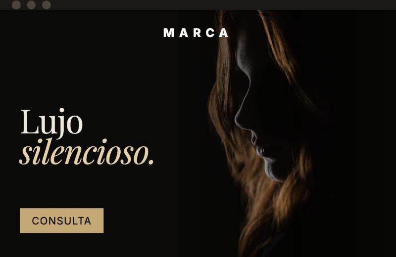 Propuesta de home Noir